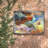 Spirit of Flight-50109491