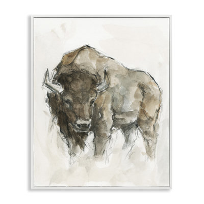 Western American Buffalo Brown Country Animal