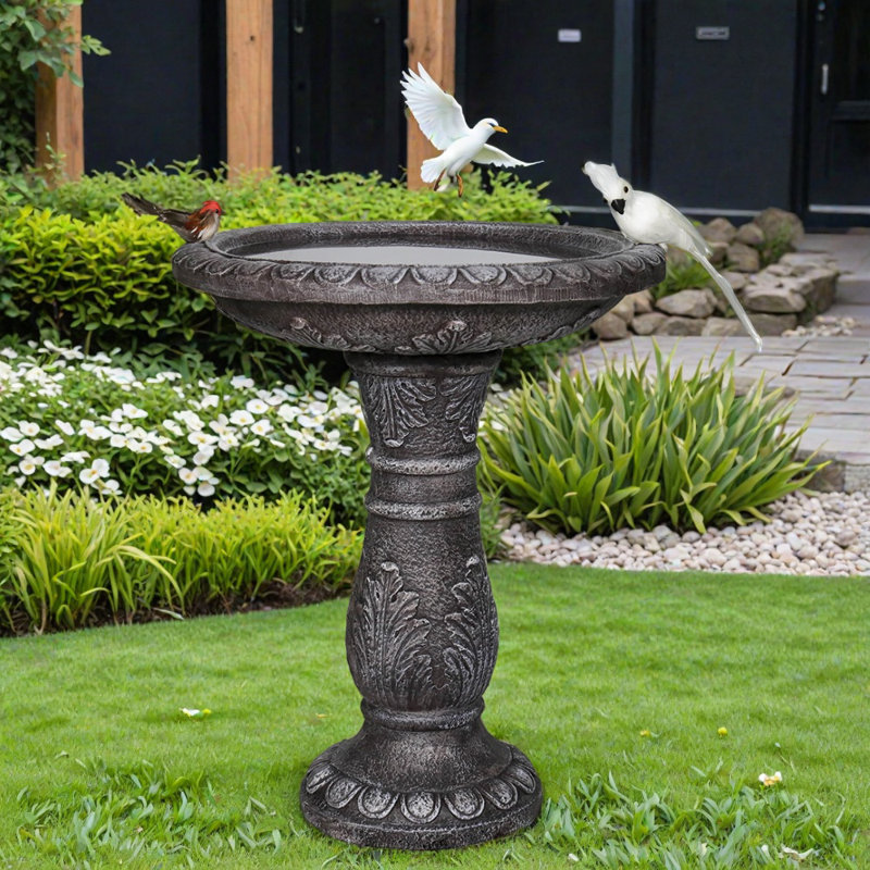 Bain d'oiseaux à piédestal rétro
