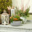 Fibreglass Plant Pot-39263427-39263428