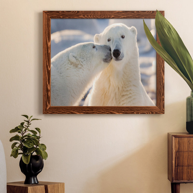 Baiser d'ours polaire - photographie sur toile, H 20 po x l 17 po x P 1,5 po, Érable
