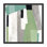 Evergreen Essence I Print