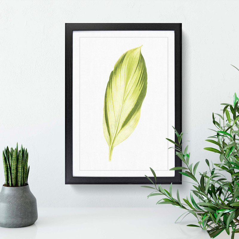Pretty Green Leaf by Benjamin Fawcett - Picture Frame Painting Print, Black, 50cm H x 35cm W x 2cm D