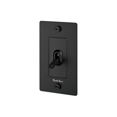 1G Toggle Switch / Logo / Brass