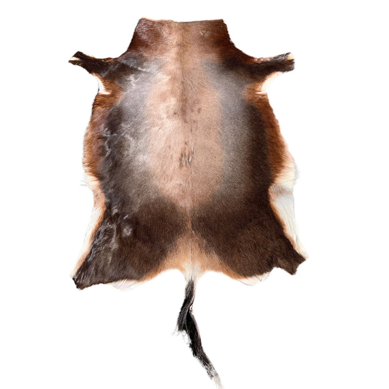 Tapis Bhavesh Blesbok