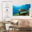 Hawksbill Turtle In Motion-107668857