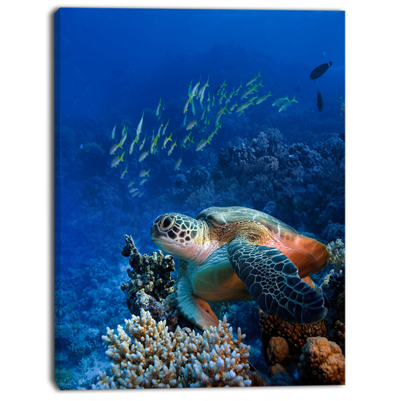 Tortue de mer océan, art mural sur toile - Tortue de mer, H 40 po x l 30 po x P 1 po, Métal