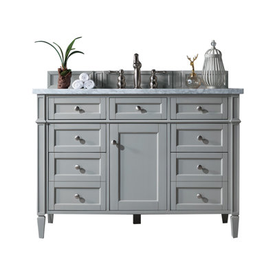 Dussault 48'' Single Bathroom Vanity with Top