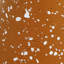 Porte-cartes Aleemah Speckled Cone - ensemble de 4-931067108