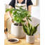 Ceramic Indoor Pot Planter-29410798