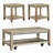 Eleora 3 Piece Living Room Set w/ Two End Tables