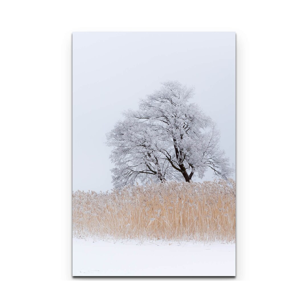 Leinwandbild Einsamer Baum an schneebedeckten See