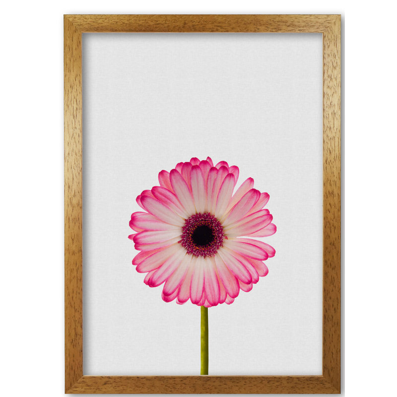 Daisy Still Life - Print, Honey Oak Frame, 42 cm H x 30 cm W x 5 cm D