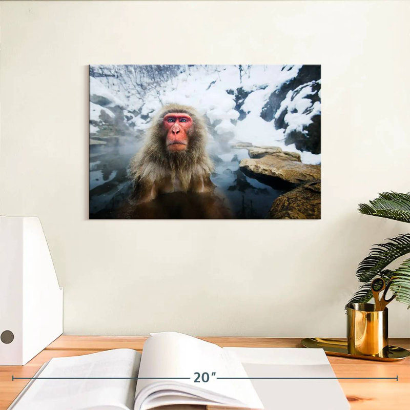 Singe des neiges japonais Brampt, H 8 po x l 12 po