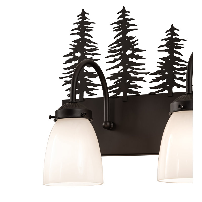 Vanity Light, Oil Rubbed Bronze, 13" H x 24" W x 8" D
