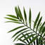 Annetrud 60 cm H Faux Foliage Plant