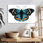 Brampt Butterfly Symmetry-107694044
