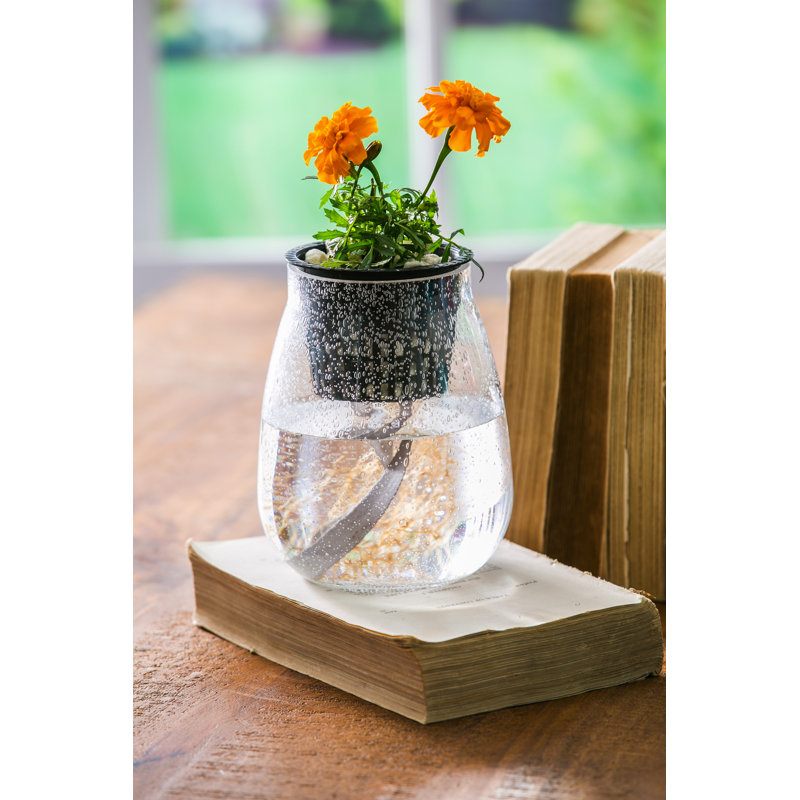 Pot à fleurs avec réservoir Whittiker