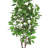Artificial Birch Tree in Pot-1920488296