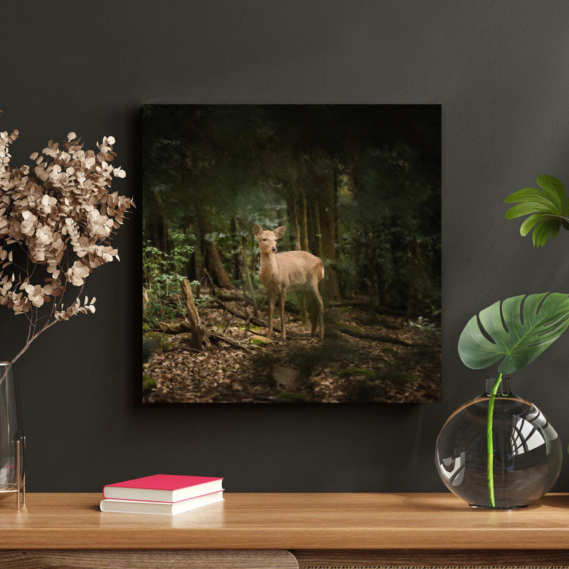 Brown Deer 14 - 1 pièce, impression carrée sur toile tendue, H 32 po x l 32 po