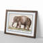 Asian Elephant by A.B. De Boodt - Picture Frame Painting Print-55686673-55686677