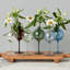 Wine Glass Vase - 3"L x 3"W x 7.5"H - Clear-1232543699-1232543698