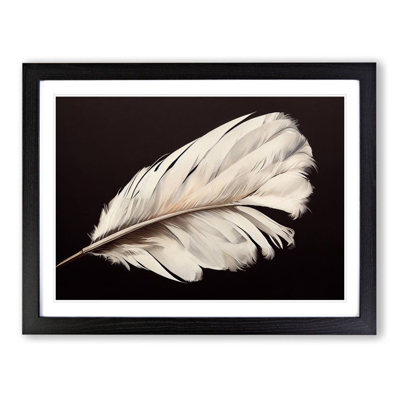 Bird Feather - Single Picture Frame Print, 46cm H x 64cm W x 2cm D, Black Framed