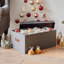 Ornament Storage