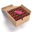  Paquet de 25 ampoules de Noël DEL C9 de remplacement homologuées UL-1460028872