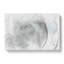 White Rose In Abstract - Wrapped Canvas-55301179