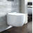 Nebula Dual-Flush Water Elongated Wall-Mount Toilet-39076352