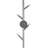 Oaks Wallchiere-70118456