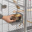 Cage de vol Charlinda-1493482312