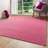 Vipin Solid Colour Area Rug-2138576917