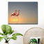 «Serenity II», reproduction de photo sur toile-29604807