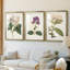 Antique Botanical Collection-522022664-522022668