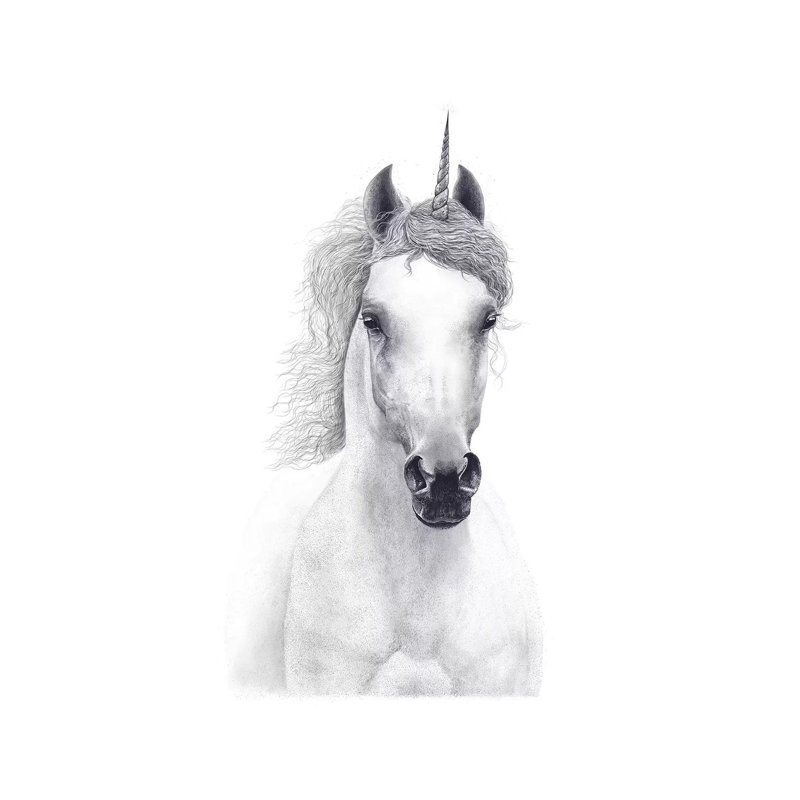 White Unicorn 1 Piece Wrapped Canvas Wall Art, 30.48cm H x 20.32cm W