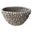 Vase décoratif en polyrésine et corail beige Cole-121496569