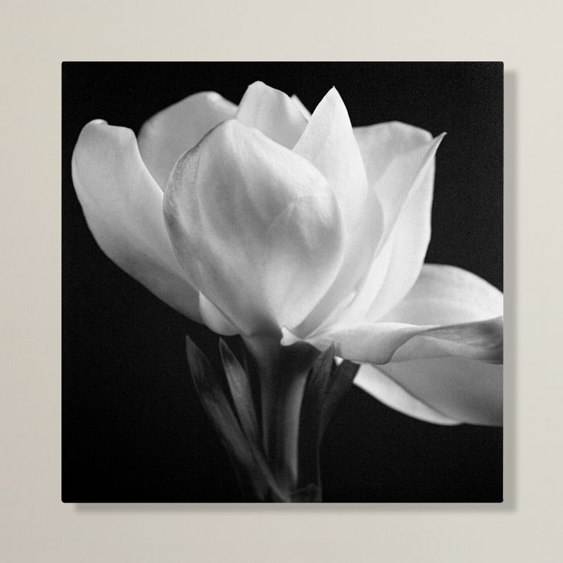 « square », reproduction de photo sur toile, H 18 po x l 18 po x P 2 po