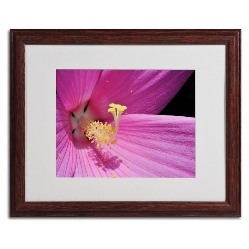 « à l’intérieur d’un hibiscus rose » par kurt shaffer, reproduction de photo encadrée, H 16 po x l 20 po x P 0,5 po