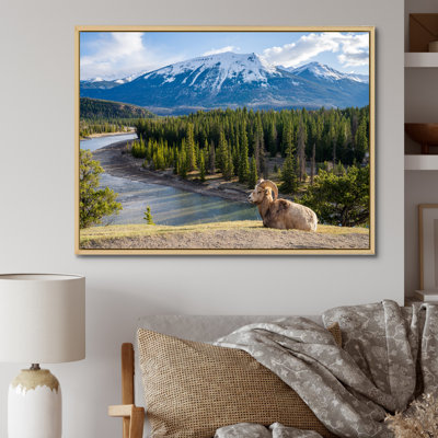 Faune sauvage, paysage de l'Alaska II