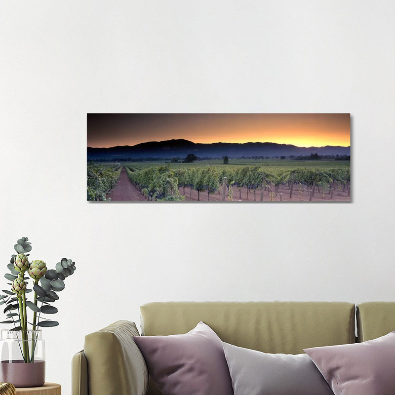 Vineyard Landscape, Napa Valley AVA, Napa County, California, USA - Giclée sur toile tendue avec châssis, H 16 po x l 48 po