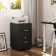Kayeson 15.7'' Wide 2 -Drawer Mobile File Cabinet