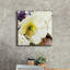 «White Poppies Up Close» par Shirley Novak, art mural sur toile-1617011154