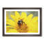 Bee Collecting Pollen - Single Picture Frame Painting on MDF-56628177-56628179