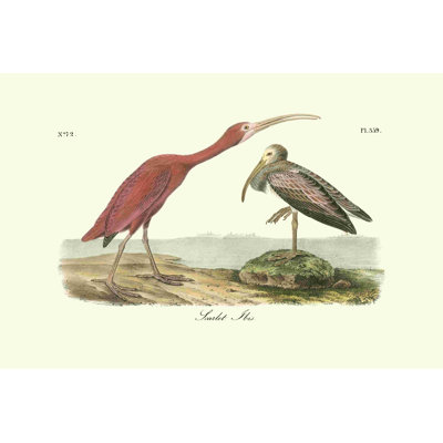 Rouge écarlate