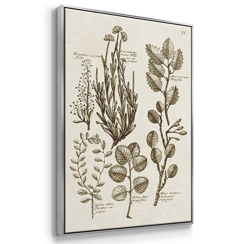 Sépia Botanical Journal VI 3 pièces, H 27 po x l 54 po, Argent