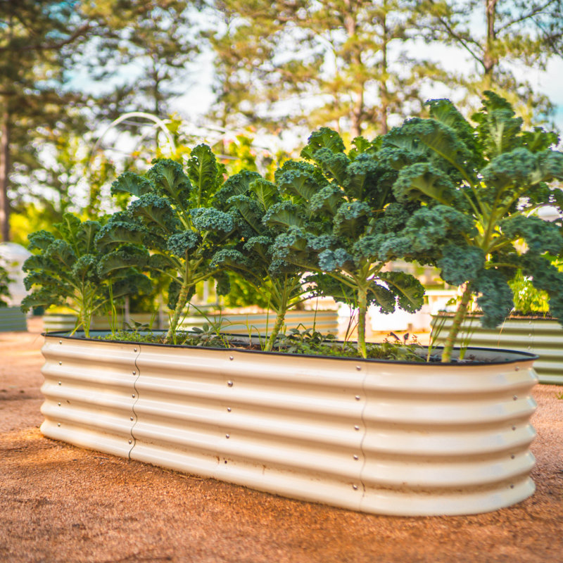 17" Tall 9 In 1 Modular Metal Outdoor Raised Garden Bed, Pearl White, 17" H x 42" W x 78" D
