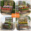 Wood Planter Box