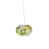 Menthe transparente est en rupture de stock